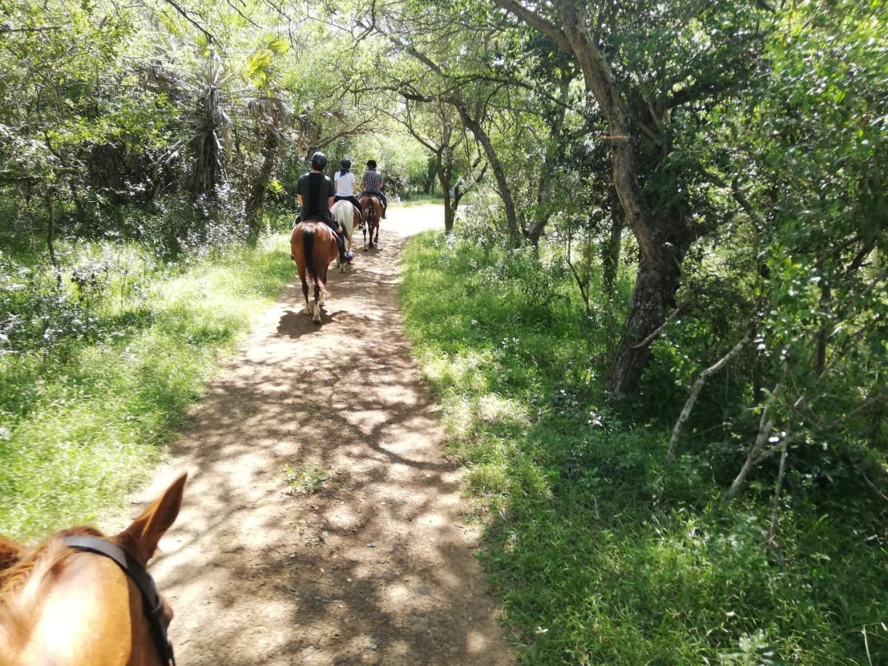 赫卢赫卢韦We Bushcamp & Horse Safaris别墅 外观 照片